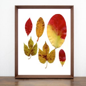 Quadro com Moldura Chanfrada Marrom Folhas de Outono 40x50cm