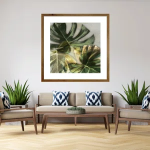 Quadro com Moldura Rústica Imagem Folha de Adão 70x70cm