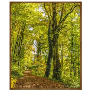 Quadro com Moldura Rústica Paisagem Floresta 90x110cm