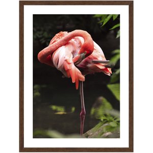 Quadro de Flamingo Decorativo com Moldura Estilo Rústico 60x80 cm Quadro de Flamingo Decorativo com Moldura Estilo Rústico 60x80 cm