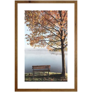 Quadro de Paisagem Decorativo Natureza Banco e Árvore na Beira de Lago