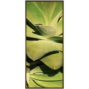 Quadro Decorativo Close Suculenta Verde 50x120 cm