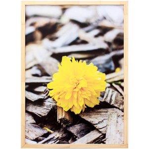 Quadro Decorativo com Impressão Personalizada Flor Amarela 50x70cm