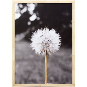 Quadro Decorativo com Impressão Personalizada Flor Dente de Leão 50x70cm