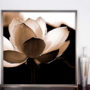 Quadro Decorativo com Moldura Prata Flor de Lótus Noturna em Sépia