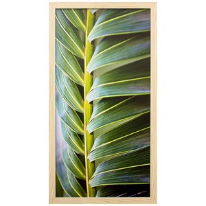Quadro Decorativo com Vidro Folha de Palmeira II - 30x60cm