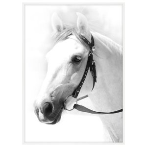 Quadro Decorativo em Preto e Branco Fotografia de Cavalo - Escolha o Tamanho Quadro Decorativo em Preto e Branco Fotografia de Cavalo - Escolha o Tamanho