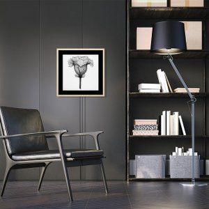 Quadro Decorativo Flor Raio-X em Preto e Branco I 40x40cm