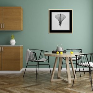Quadro Decorativo Flor Raio-X em Preto e Branco III 40x40cm