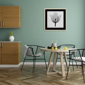 Quadro Decorativo Flor Raio-X em Preto e Branco IV 40x40cm