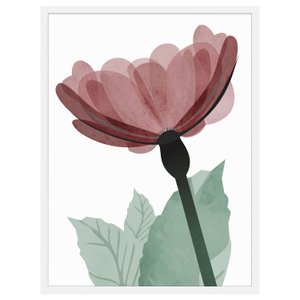 Quadro Decorativo Flor Vermelha com Moldura Branca 60x80cm