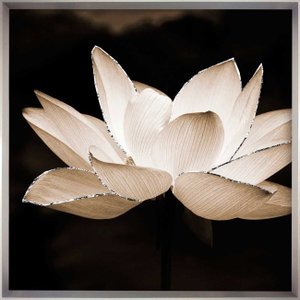 Quadro Decorativo Floral com Moldura Prata Flor de Lótus em Tom Sépia