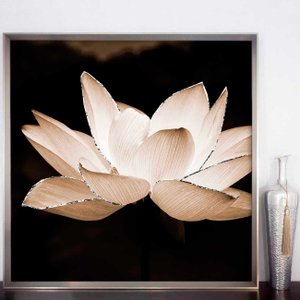 Quadro Decorativo Floral com Moldura Prata Flor de Lótus em Tom Sépia