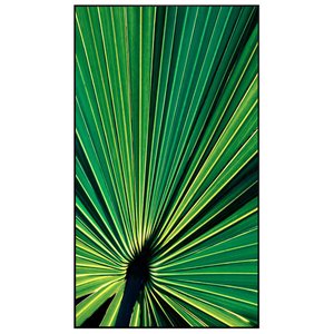 Quadro Decorativo Folha de Palmeira Verde 80x140 cm Quadro Decorativo Folha de Palmeira Verde 80x140 cm