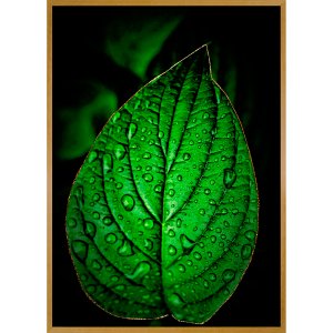 Quadro Decorativo Folha Verde na Chuva Detalhes em Dourado III - 70x100 cm Quadro Decorativo Folha Verde na Chuva Detalhes em Dourado III - 70x100 cm