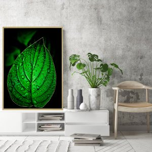 Quadro Decorativo Folha Verde na Chuva Detalhes em Dourado III - 70x100 cm
