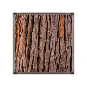 Quadro Decorativo Fotografia Textura Casca de Árvore por Dorival Moreira - Escolha o Tamanho