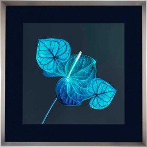 Quadro Decorativo Moderno Flores de Antúrio em Tom Azul 85x85 cm
