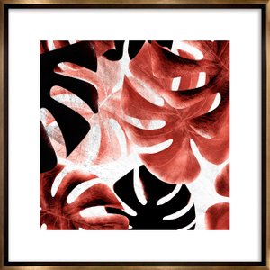 Quadro Decorativo Moderno Folhas Costela de Adão 80x80 cm