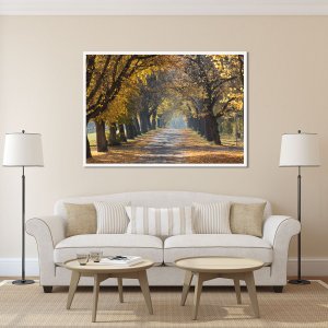 Quadro Decorativo Paisagem de Outono Estrada Ladeada Árvores