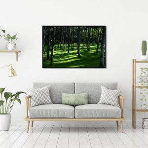 Quadro Decorativo Paisagem Floresta Árvores de Palma 100x70cm
