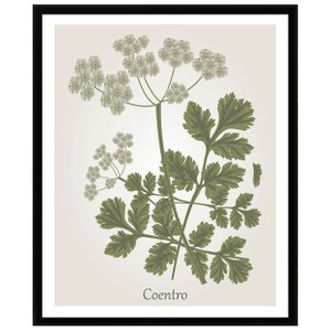 Quadro Decorativo para Cozinha Coentro 30x40cm Quadro Decorativo para Cozinha Coentro 30x40cm