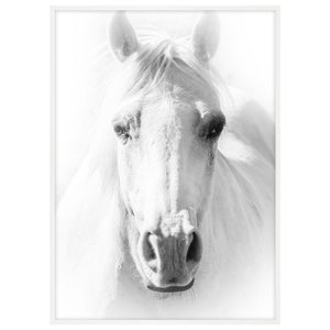 Quadro em Preto e Branco Decorativo Fotografia Imagem de Cavalo- Escolha o Tamanho Quadro em Preto e Branco Decorativo Fotografia Imagem de Cavalo- Escolha o Tamanho