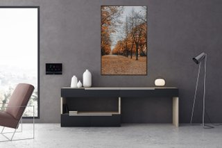 Quadro em Tela Canvas Natureza Rua Ladeada de Árvores 100x150cm