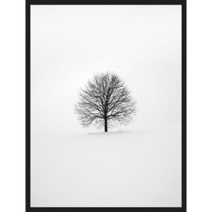 Quadro Escandinavo Natureza Inverno Árvore 60x80cm
