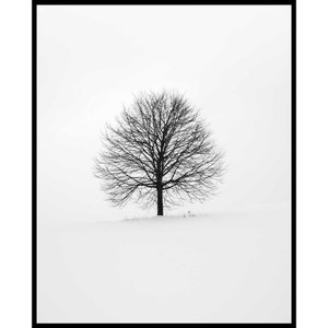 Quadro Escandinavo Natureza Inverno Árvore 80x100 cm
