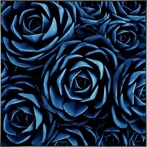 Quadro Floral Azul em Tela Canvas Planta Suculenta III - 70x70cm Quadro Floral Azul em Tela Canvas Planta Suculenta III - 70x70cm