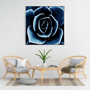 Quadro Floral Azul em Tela Canvas Planta Suculenta II - 70x70cm