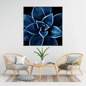 Quadro Floral Azul em Tela Canvas Planta Suculenta IV - 70x70cm