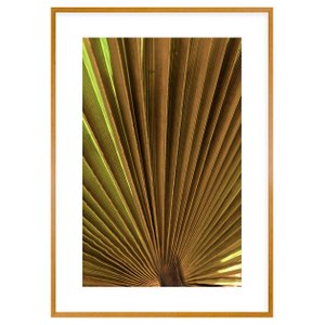 Quadro Floral Decorativo com Moldura Marrom Folha de Palmeira