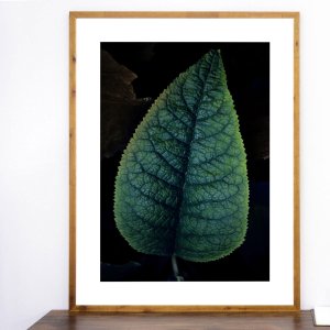Quadro Floral Rústico Folha Verde 90x120cm