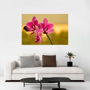 Quadro Floral Tela Canvas Decorativa Orquídea 90x60 cm