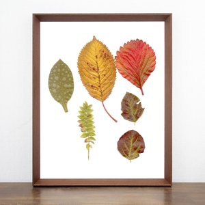 Quadro Folhas de Outono com Moldura Chanfrada Marrom 40x50cm