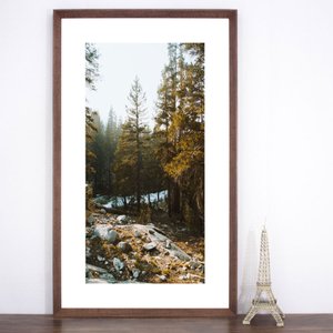 Quadro Grande com Moldura Chanfrada Paisagem Floresta 75x125 cm