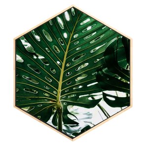 Quadro Hexagonal Costela de Adão Tela Canvas com Moldura Quadro Hexagonal Costela de Adão Tela Canvas com Moldura