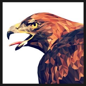 Quadro Moldura Preta Ilustração Ave Falcão Geométrico Escolha o Tamanho Quadro Moldura Preta Ilustração Ave Falcão Geométrico Escolha o Tamanho
