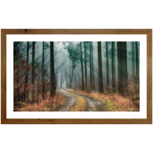 Quadro Paisagem Estrada em Meio a Floresta Natureza 50x30 cm