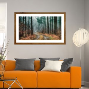 Quadro Paisagem Estrada em Meio a Floresta Natureza 50x30 cm