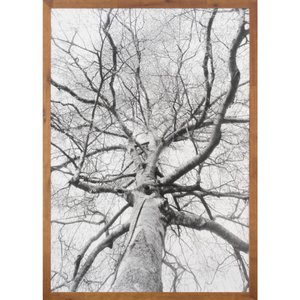 Quadro Rústico Decorativo Árvore em Preto e Branco 70x100 cm Quadro Rústico Decorativo Árvore em Preto e Branco 70x100 cm