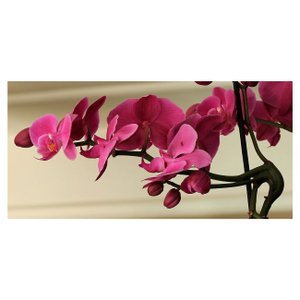 Quadro Tela Decorativa Flor Orquídea Rosa 70x35cm