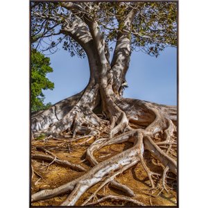 Tela Canvas Natureza Raízes Árvore com Moldura Marrom Mel - Escolha o Tamanho Tela Canvas Natureza Raízes Árvore com Moldura Marrom Mel - Escolha o Tamanho