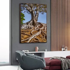 Tela Canvas Natureza Raízes Árvore com Moldura Marrom Mel - Escolha o Tamanho