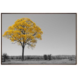 Tela Canvas Decorativa em Preto e Branco Destaque Colorido Ipê Amarelo