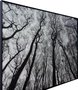 Quadro Tela Decorativa com Moldura Paisagem Floresta Árvores sem Folhas 150x115cm