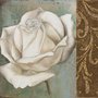 Gravura para Quadros Floral Rosa Branca e Detalhe Abstrato Marrom 30x30cm