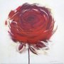 Gravura para Quadros Flor Rosa Vermelha 61x61cm